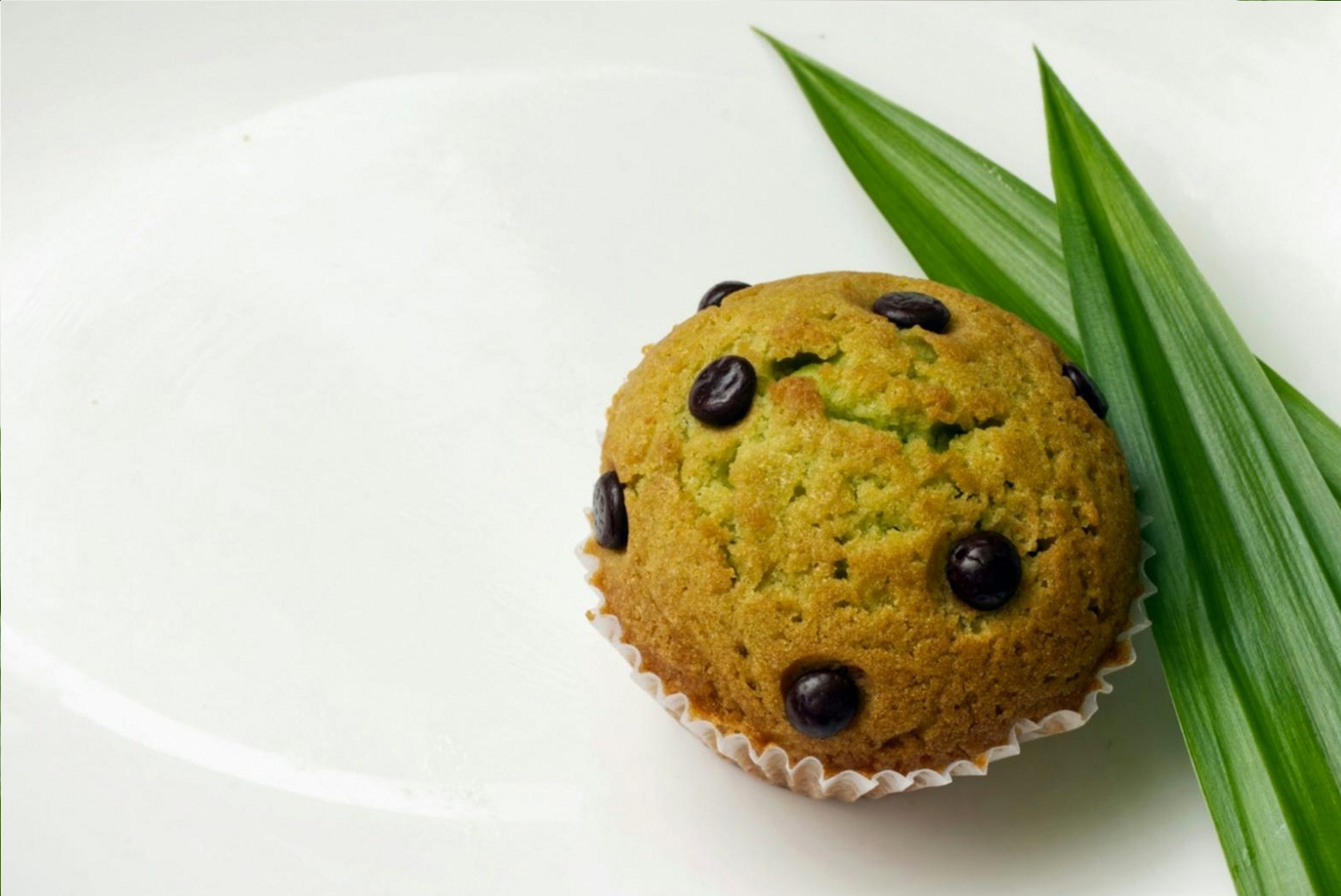 Which Plant Proteins Actually Worked for Our Family of Four
